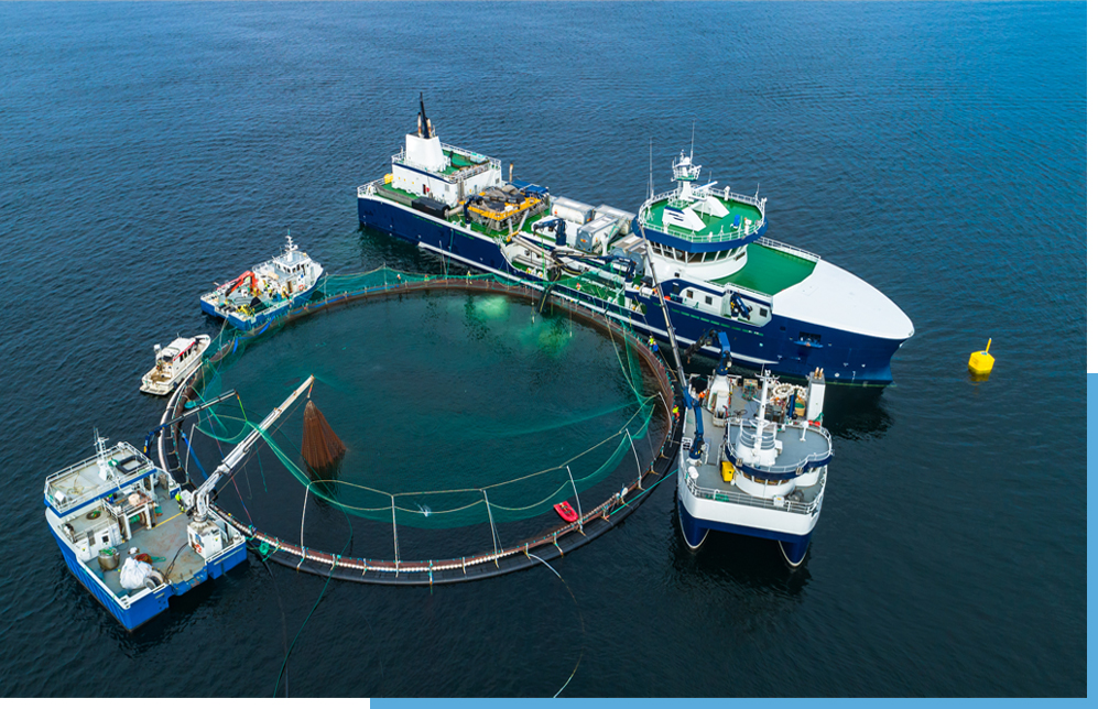 Su Ürünleri ve Tarım